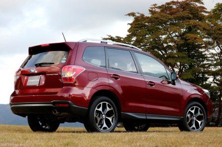 Forester 6